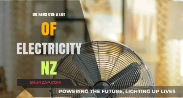How Much Electricity Do Fans Consume in New Zealand Homes?