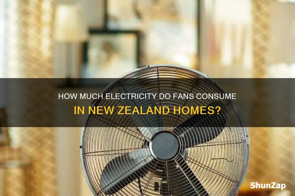 do fans use a lot of electricity nz