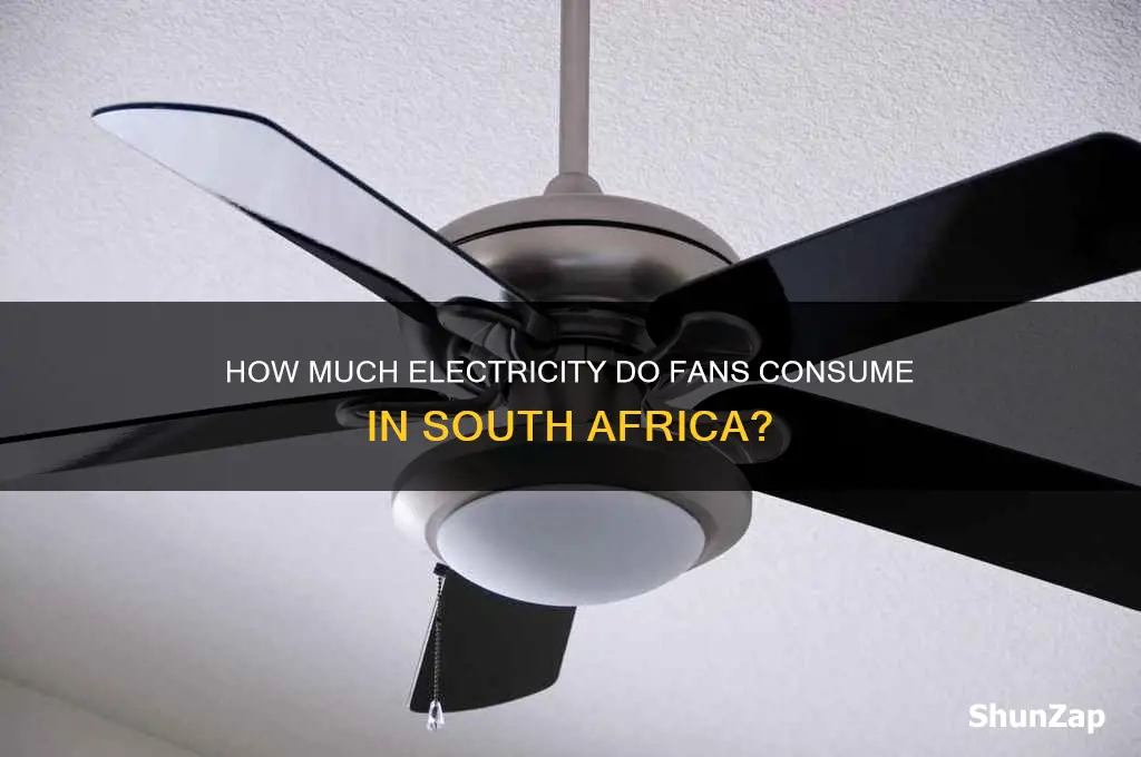 do fans use a lot of electricity south africa