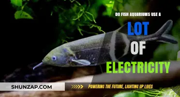 Do Fish Aquariums Consume High Electricity? A Cost Analysis