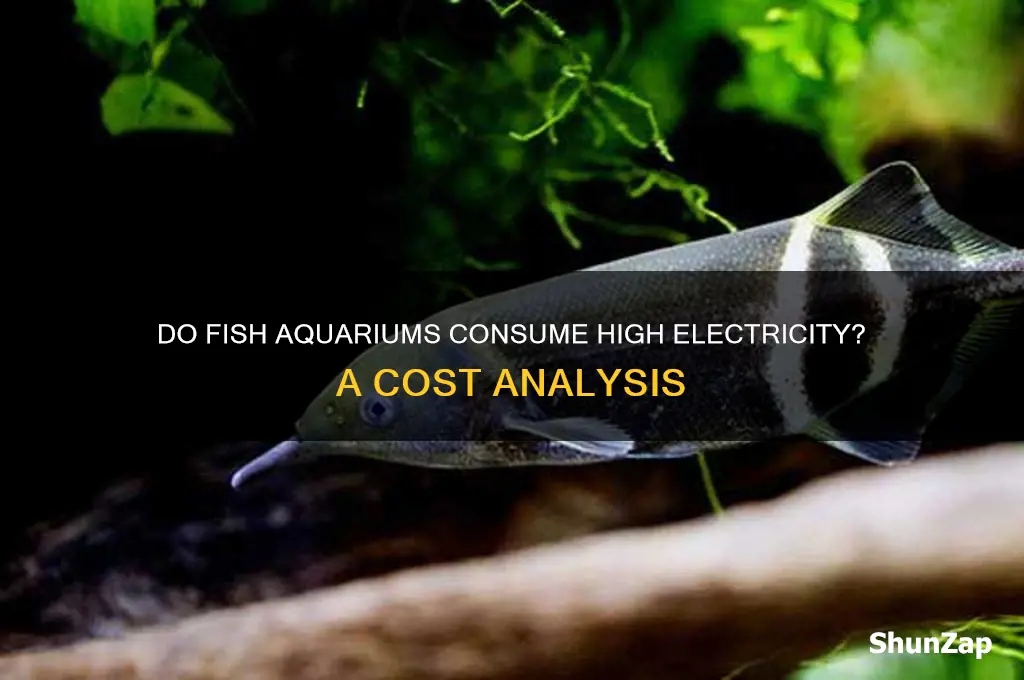 do fish aquariums use a lot of electricity