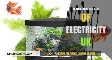 Do Fish Tanks Use a Lot of Electricity in the UK?