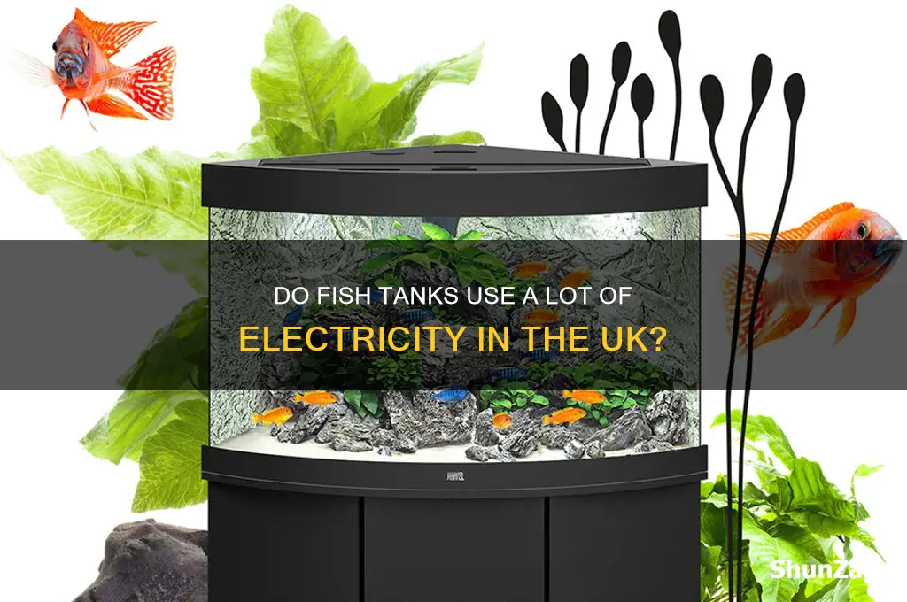 do fish tanks use a lot of electricity uk
