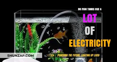 Fish Tank Electricity Usage: How Much Power Does Your Aquarium Consume?