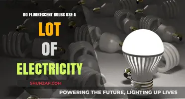 Fluorescent Bulbs: Energy Efficiency and Electricity Consumption Explained