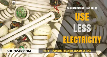Fluorescent Light Bulbs: Energy Efficiency and Electricity Savings Explained