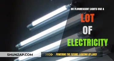 Do Fluorescent Lights Consume Excessive Electricity? Energy Efficiency Explained