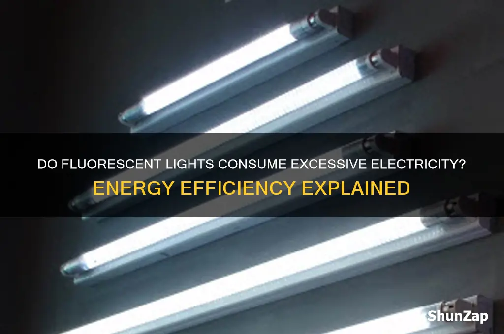 do fluorescent lights use a lot of electricity