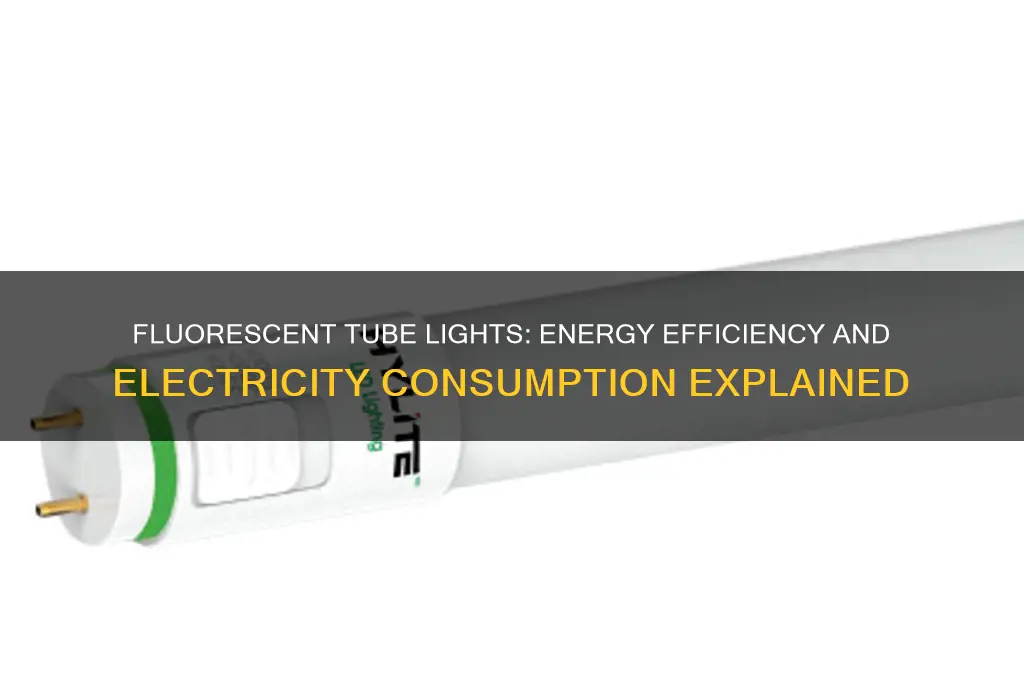do fluorescent tube lights use a lot of electricity
