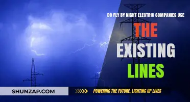 Do Fly-by-Night Electric Companies Utilize Existing Power Lines?