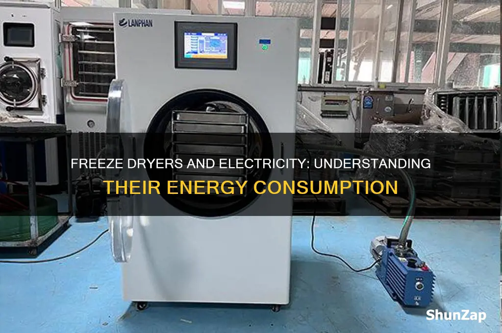 do freeze dryers use a lot of electricity