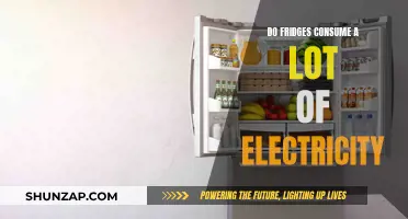 Fridge Electricity Consumption: How Much is Too Much?