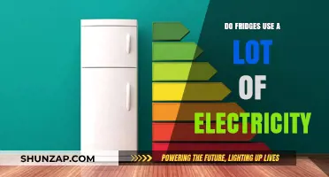 How Much Electricity Does Your Fridge Consume? A Detailed Analysis