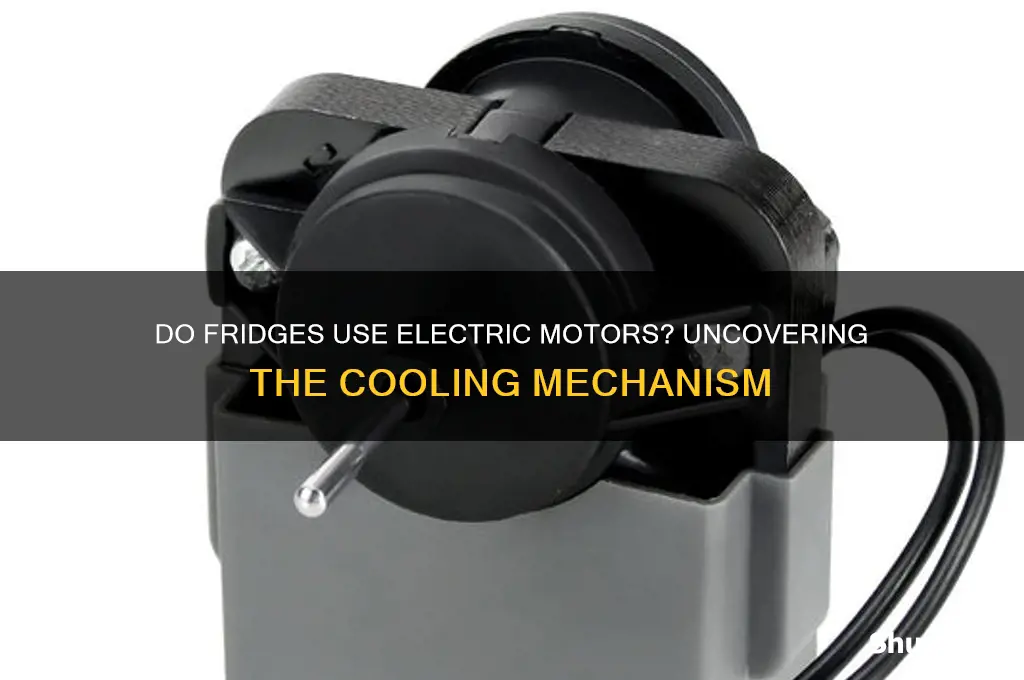 do fridges use electric morors