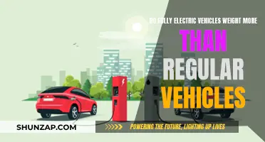 Electric Power: Weighing the Benefits of Fully Electric Vehicles