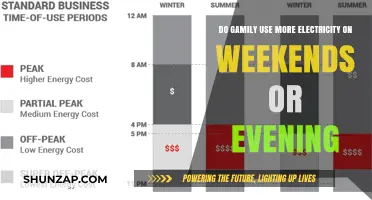 Weekend vs. Evening: When Do Families Consume More Electricity?