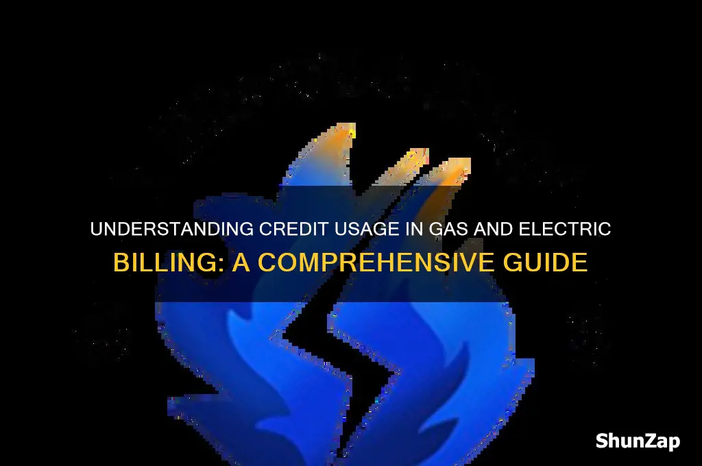 do gas and electric bills use credit