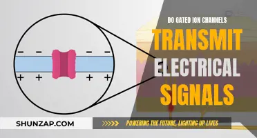 Unlocking the Mystery of Gated Ion Channels and Electric Signals