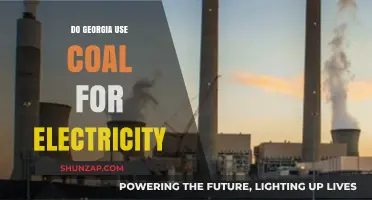 Georgia's Electricity Sources: Does Coal Power the Peach State?