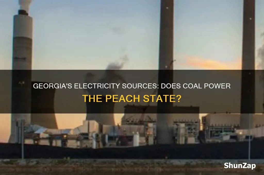 do georgia use coal for electricity