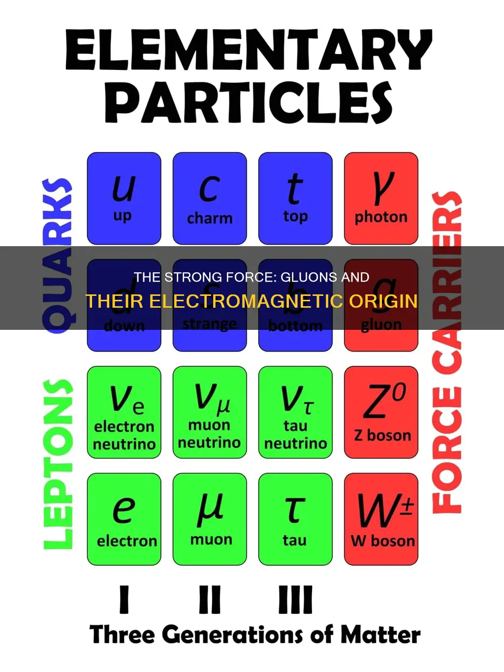 do gluons come from electr strong force