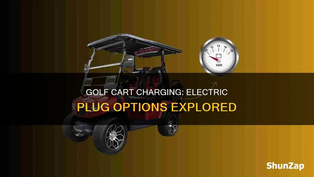 do golf carts have a electric plug