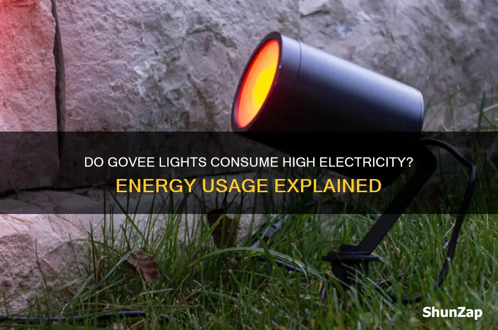 do govee lights use a lot of electricity