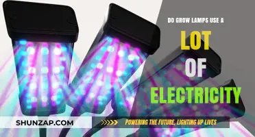Do Grow Lamps Consume High Electricity? A Cost-Saving Guide