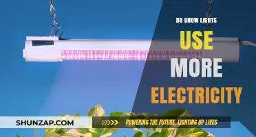 Do Grow Lights Consume Excessive Electricity? A Comprehensive Analysis