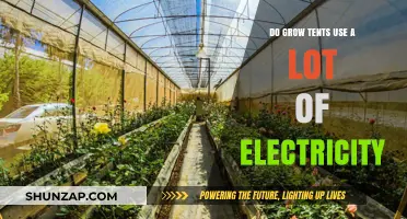 Do Grow Tents Consume High Electricity? A Cost Analysis