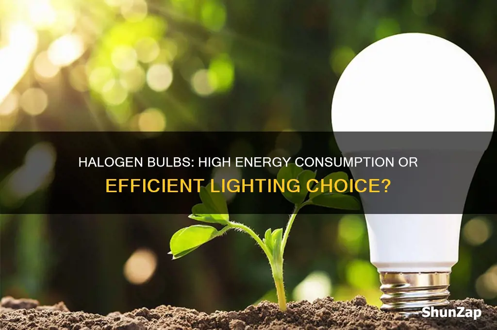 do halogen bulbs use a lot of electricity