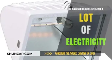 Halogen Flood Lights: High Energy Consumption Explained and Alternatives
