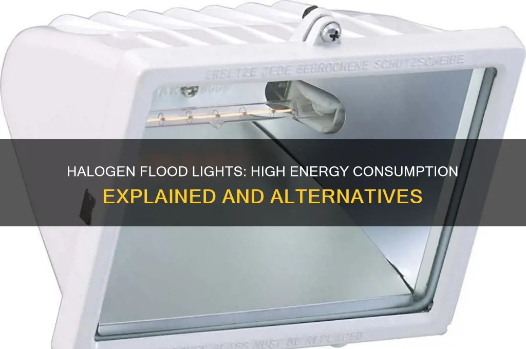 do halogen flood lights use a lot of electricity