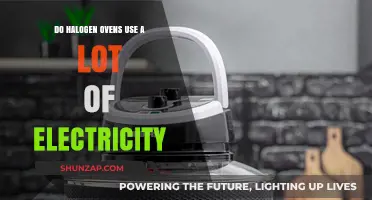 Halogen Ovens: Energy Efficiency and Electricity Consumption Explained