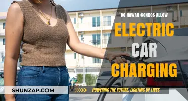 Hawaii Condos and Electric Car Charging: What You Need to Know