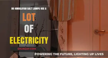 Himalayan Salt Lamps: Energy Efficiency and Electricity Usage Explained