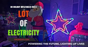 Holiday Inflatables: Uncovering Their Electricity Usage and Energy Efficiency