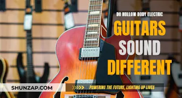 How Hollow Body Electric Guitars Create Unique Sounds