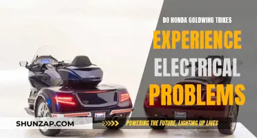 Goldwing Trikes: Electrical Issues and Solutions