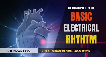 Hormones' Impact on Electrical Rhythm: A Complex Dance