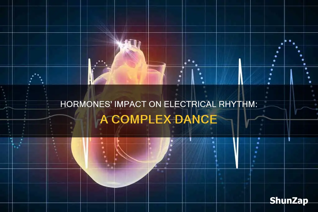 do hormones effect the basic electrical rhyhtm