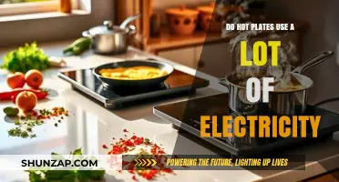 Hot Plates: Electricity Usage Explained for Energy-Conscious Cooks