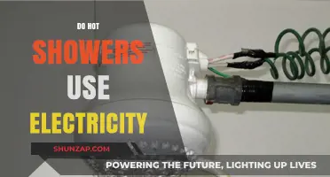 Hot Showers and Electricity: Uncovering the Energy Usage Truth