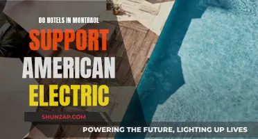 Electric Compatibility: Montreal Hotels and American Travelers