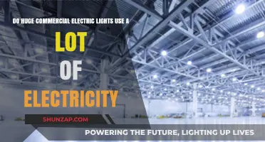 Do Commercial Electric Lights Consume Excessive Electricity? A Detailed Analysis