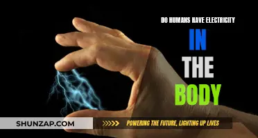 Electric Body: Humans as Power Sources