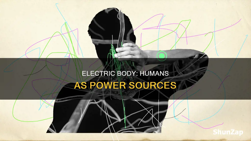 do humans have electricity in the body
