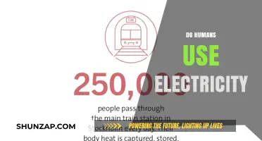 Do Humans Use Electricity? Exploring Our Daily Power Dependence