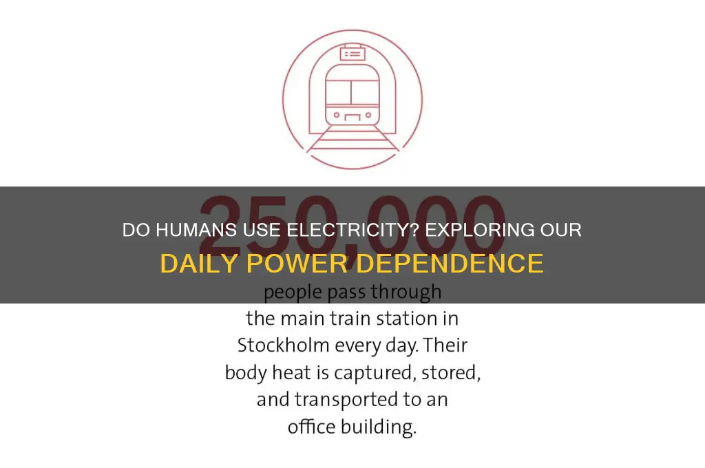 do humans use electricity