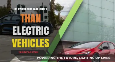 Hybrid vs. Electric: Which Vehicle Type Offers Greater Longevity?